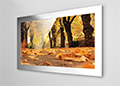 A stainless steel frame on a smart tv displaying autumn leaves.